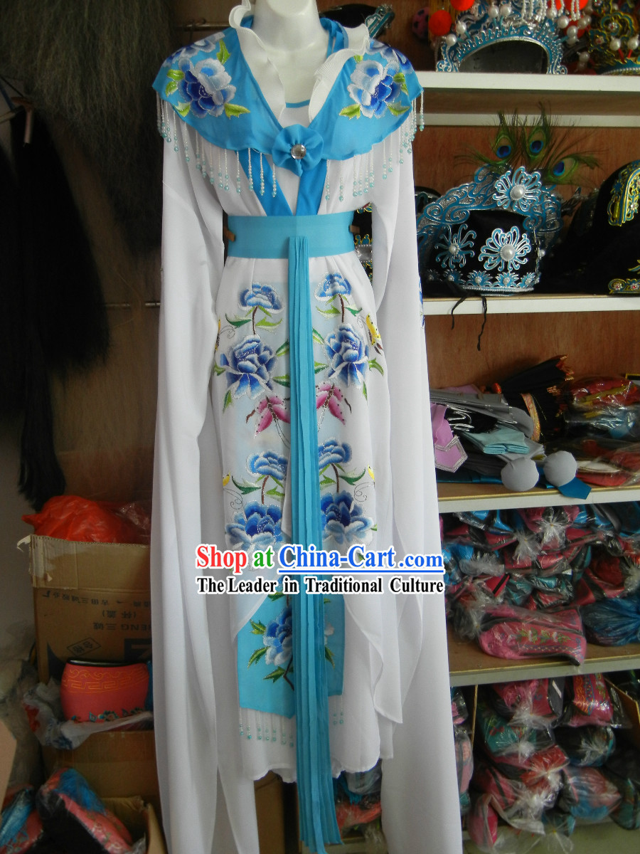 Traditional Chinese Water Sleeve Embroidered Lady Outfit