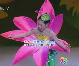 Traditional Chinese Flower Dance Costumes Complete Set