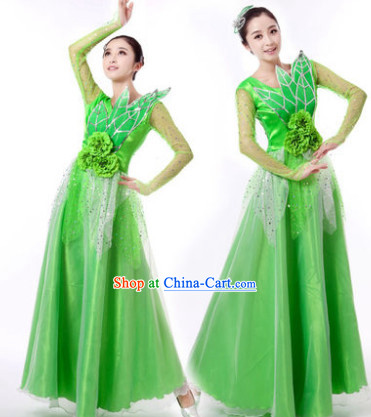Traditional Chinese Green Leaf Dancing Clothes and Hair Accessories