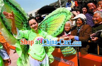 Chinese New Year Parade Btterfly Costume