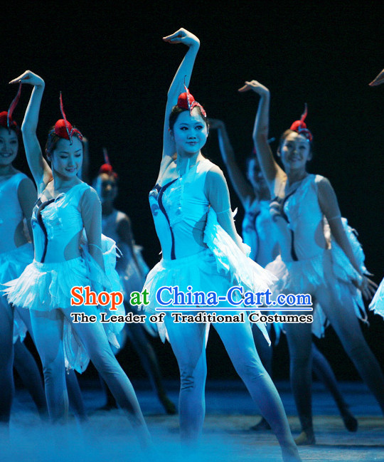 Chinese Classic Folk Swan Dance Costumes and Headwear Complete Set for Women