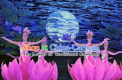 Chinese Folk Classical Flower Dance Costumes and Headwear Complete Set for Women