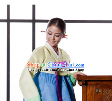 Korean Traditional Dresses Lady Plus Size Clothes Complete Set