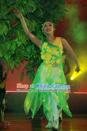 Professional Chinese Spring Folk Dance Costumes for Women Adults Kids