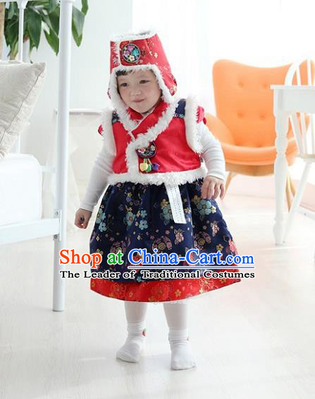 Asian Korean National Traditional Handmade Formal Occasions Girls Embroidery Hanbok Costume Red Vest and Blue Dress Complete Set for Kids