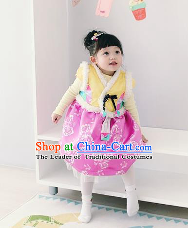 Asian Korean National Traditional Handmade Formal Occasions Girls Embroidery Hanbok Costume Yellow Vest and Pink Dress Complete Set for Kids