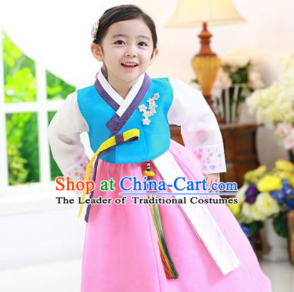 Traditional Korean National Handmade Formal Occasions Girls Hanbok Costume Embroidered Blue Blouse and Pink Dress for Kids