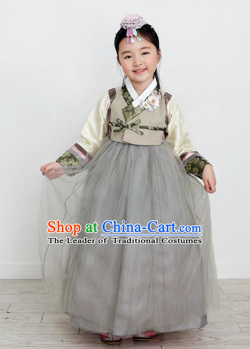 Asian Korean National Handmade Formal Occasions Wedding Clothing Grey Blouse and Dress Palace Hanbok Costume for Kids