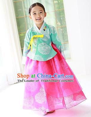 Traditional Korean Handmade Hanbok Embroidered Costume Green Blouse and Pink Dress, Asian Korean Apparel Hanbok Clothing for Girls