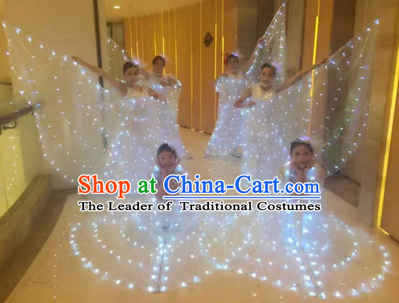 LED Dance Costumes Professional Dance LED Costumes Butterfly LED Lights Costume and Headgear Complete Set