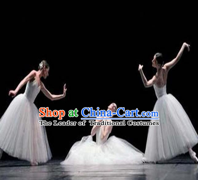 Traditional Modern Dancing Compere Costume, Opening Classic Chorus Singing Group Dance Bubble Dress Tu Tu Dancewear, Modern Dance Classic Ballet Dance Elegant Long Dress for Women