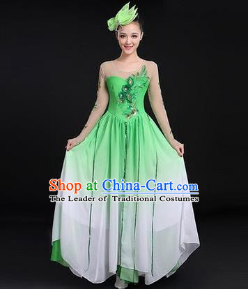 Traditional Chinese Modern Dancing Costume, Women Opening Classic Chorus Singing Group Dance Costume, Modern Dance Big Swing Dress for Women