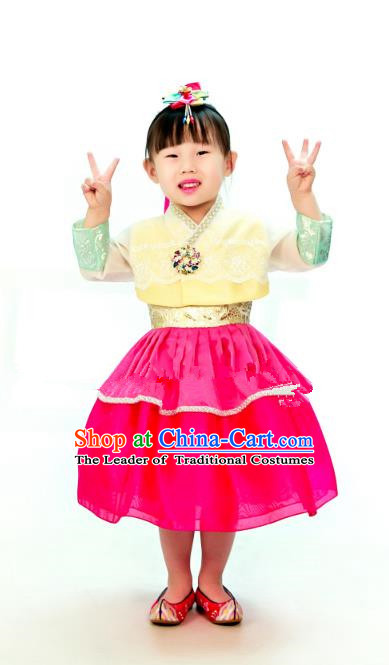 Traditional South Korean Handmade Hanbok Children Embroidery Birthday Dress, Top Grade Korea Hanbok Costume Complete Set for Kids
