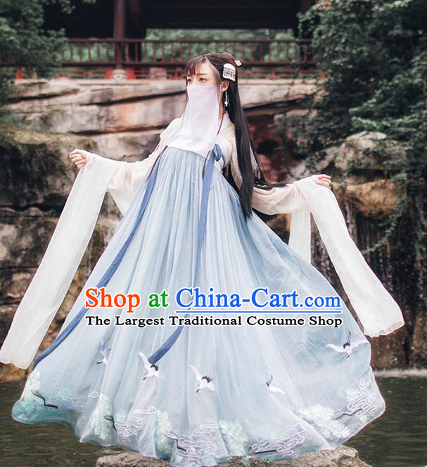 Chinese Ancient Peri Embroidered Costumes Tang Dynasty Palace Princess Hanfu Dress for Women