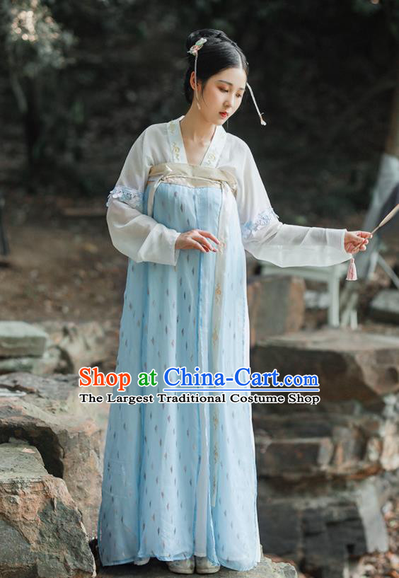 Chinese Ancient Tang Dynasty Princess Hanfu Dress Traditional Embroidered Costumes for Women