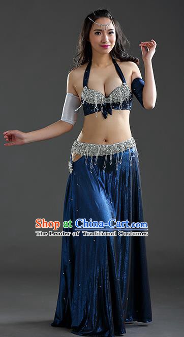 Traditional Egypt Dance Peacock Blue Dress India Oriental Belly Dance Costume for Women