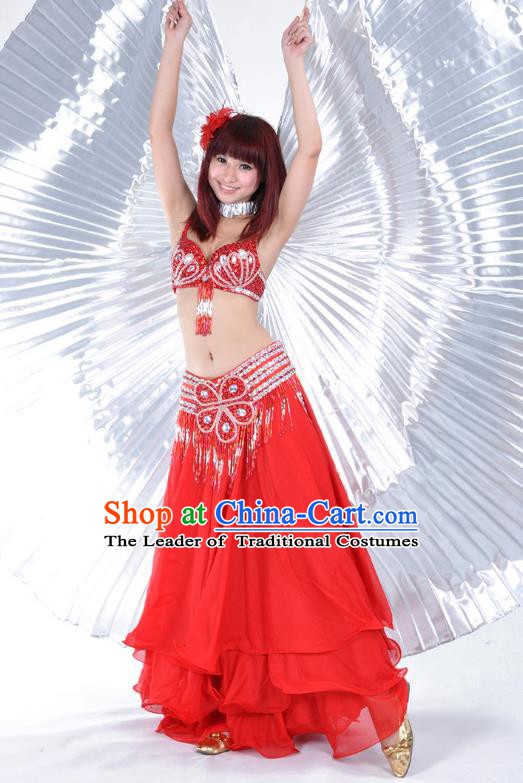 Indian Belly Dance Stage Performance Costume, India Oriental Dance Red Dress for Women