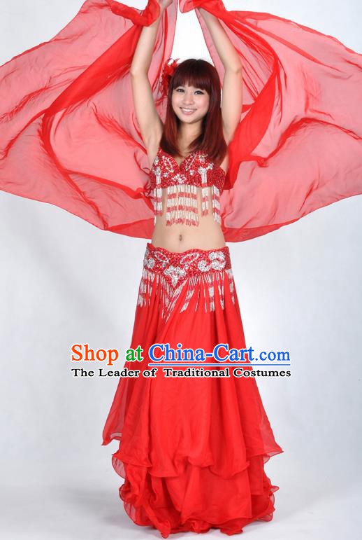 Asian Indian Traditional Oriental Dance Red Dress Belly Dance Stage Performance Costume for Women