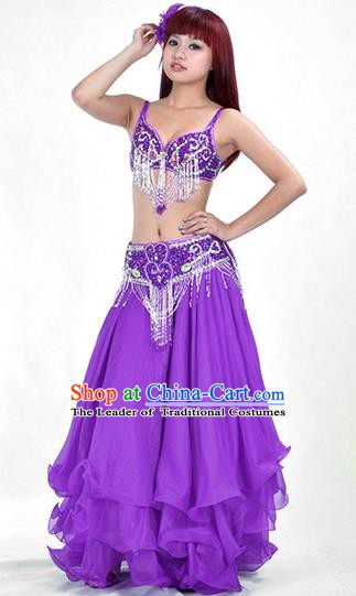 Traditional Bollywood Belly Dance Purple Dress Indian Oriental Dance Costume for Women