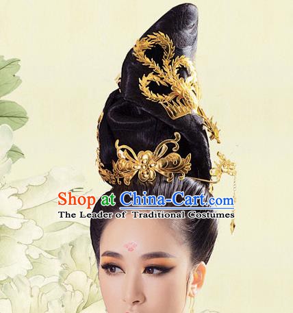 Asian Chinese Tang Dynasty Palace Lady Wigs Ancient Fairy Hair Accessories for Women