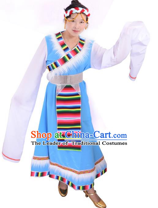 Traditional Chinese Zang Nationality Dance Costume, Tibetan Female Folk Dance Ethnic Minority Embroidery Blue Dress for Women
