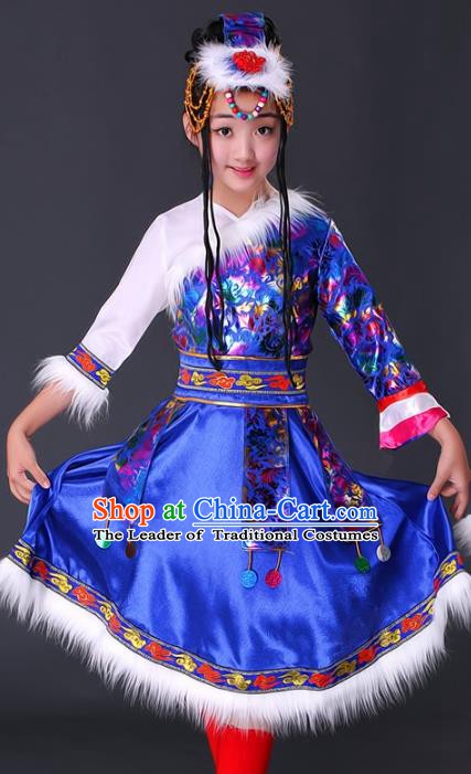 Traditional Chinese Zang Nationality Dance Costume, Chinese Folk Dance Ethnic Clothing Tibetan Minority Blue Dress for Women