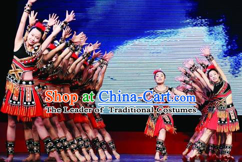 Traditional Chinese Folk Dance Embroidered Costume, China Ethnic Minority Dance Clothing for Women
