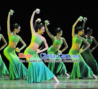 Chinese Traditional Folk Dance Stage Performance Costume, China Classical Dance Pavane Dress Clothing for Women