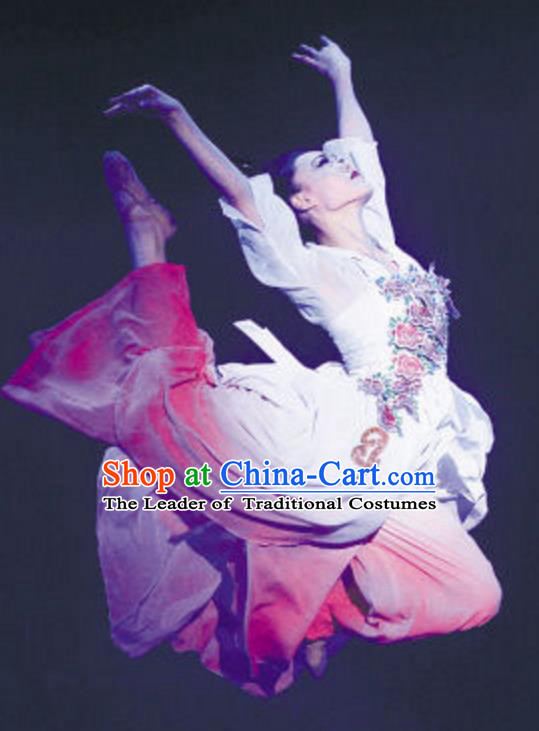Traditional Chinese Classical Dance Costume, China Folk Dance Umbrella Dance Dress Clothing for Women