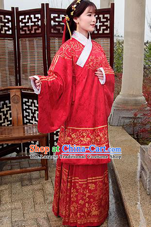 Traditional Chinese Ancient Ming Dynasty Palace Princess Costumes Red Cloak and Skirt for Women