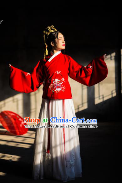 Chinese Ancient Nobility Lady Embroidered Hanfu Dress Traditional Ming Dynasty Costume for Rich Women
