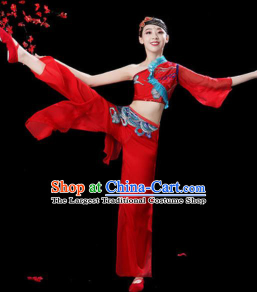 Traditional Chinese Folk Dance Single Sleeve Costumes Fan Dance Yangko Dance Red Clothing for Women