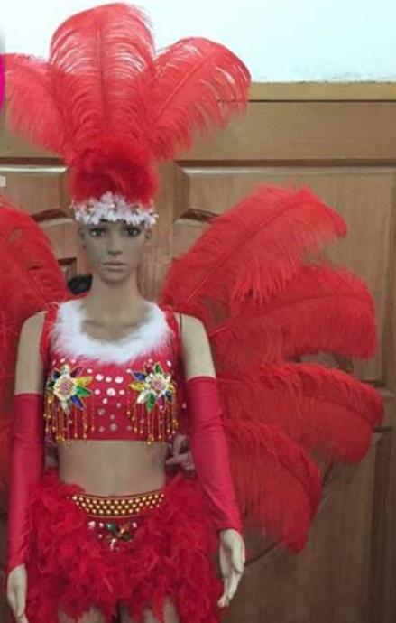 Halloween Cosplay Stage Show Feather Costumes Brazilian Carnival Parade Dress for Women