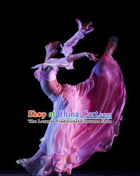 Chinese Traditional Classical Dance Group Dance Costumes Stage Performance Pink Dress for Women