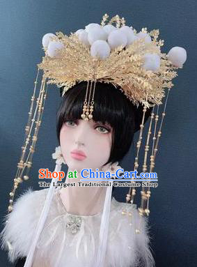 Traditional Chinese Deluxe Golden Tassel Phoenix Coronet Hair Accessories Halloween Stage Show Headdress for Women