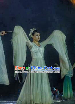 Chinese Dream Of Tao Classical Dance Blue Dress Stage Performance Costume and Headpiece for Women