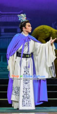 Chinese Bronze Swallow Terrace Prince Clothing Stage Performance Dance Costume for Men