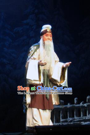 Su Wu In Desert Chinese Beijing Opera Shepherd Clothing Stage Performance Dance Costume and Headpiece for Men