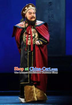 Mei Hua Zan Chinese Beijing Opera Minister Clothing Stage Performance Dance Costume and Headpiece for Men