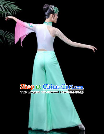 Traditional Chinese Stage Performance Costume Folk Dance Fan Dance Green Clothing for Women