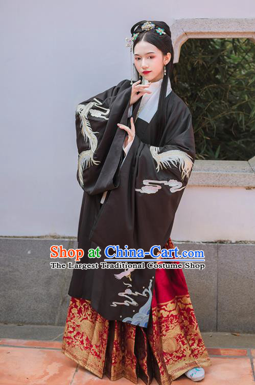 Chinese Ancient Ming Dynasty Embroidered Historical Costume Traditional Hanfu Dress for Women