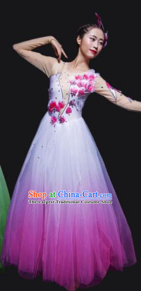 Chinese Traditional National Dance Costume Modern Dance Stage Performance Rosy Veil Dress for Women