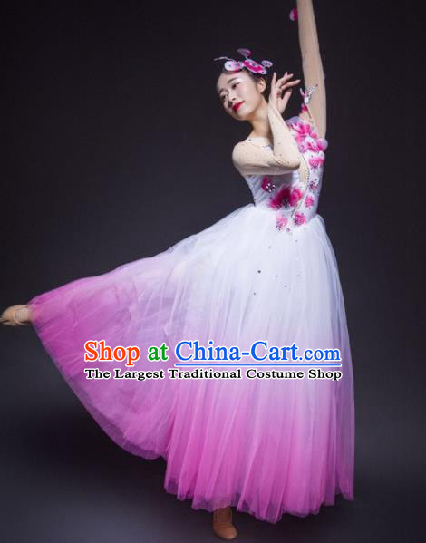 Chinese Traditional National Dance Costume Modern Dance Stage Performance Rosy Veil Dress for Women