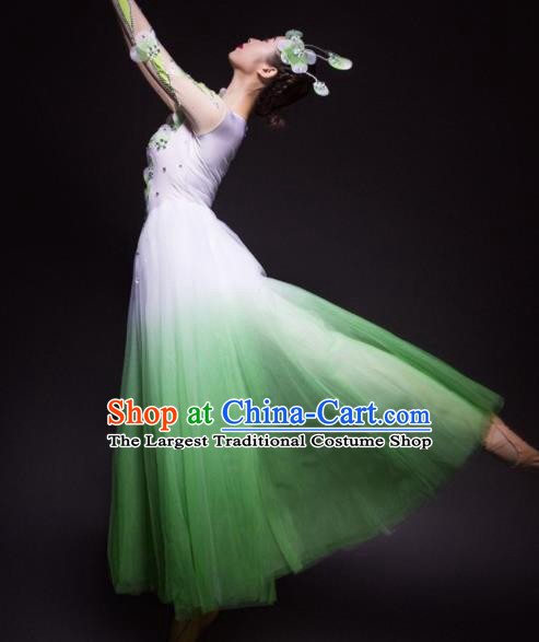 Chinese Traditional National Dance Green Veil Dress Modern Dance Stage Performance Costume for Women