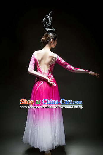 Chinese Traditional Chorus Rosy Veil Dress Modern Dance Stage Performance Costume for Women