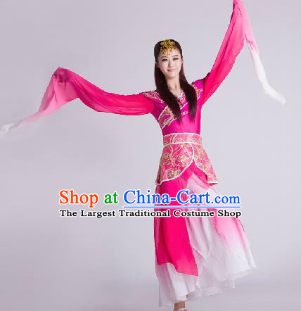 Chinese Traditional Classical Dance Rosy Costume Water Sleeve Dance Stage Performance Costume for Women