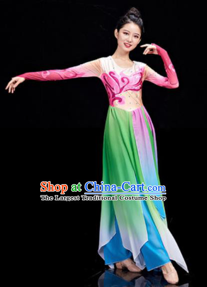 Chinese National Classical Dance Umbrella Dance Dress Traditional Lotus Dance Green Costume for Women