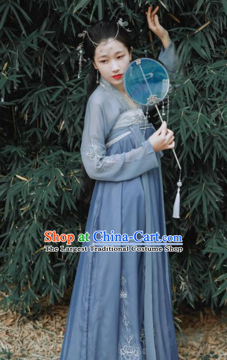 Chinese Traditional Tang Dynasty Court Lady Embroidered Historical Costume Ancient Princess Hanfu Dress for Women