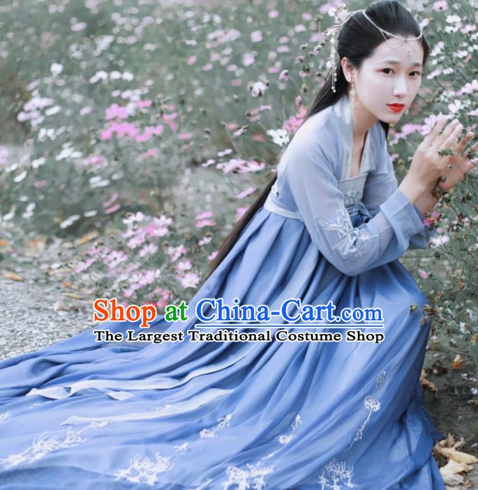 Chinese Traditional Tang Dynasty Court Lady Embroidered Historical Costume Ancient Princess Hanfu Dress for Women