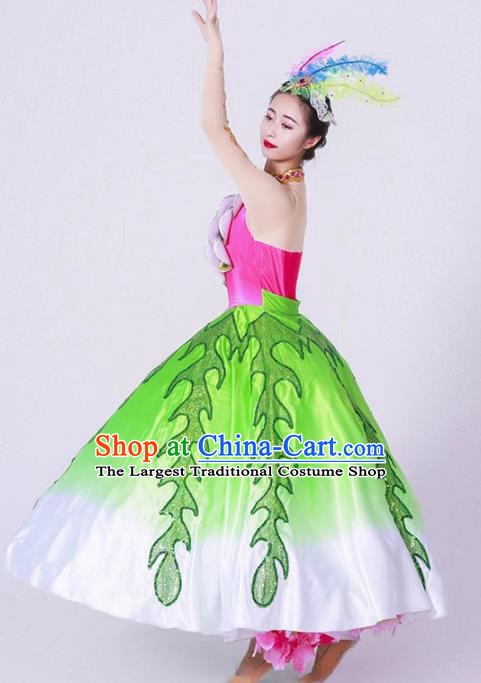 Chinese Spring Festival Gala Classical Dance Costume Traditional Opening Dance Green Dress for Women